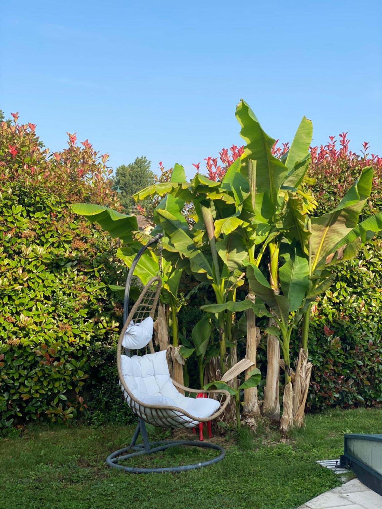 Lamaison-D'Ose Châtillon-sur-Chalaronne Exteriör bild